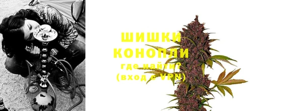 ECSTASY Богородск