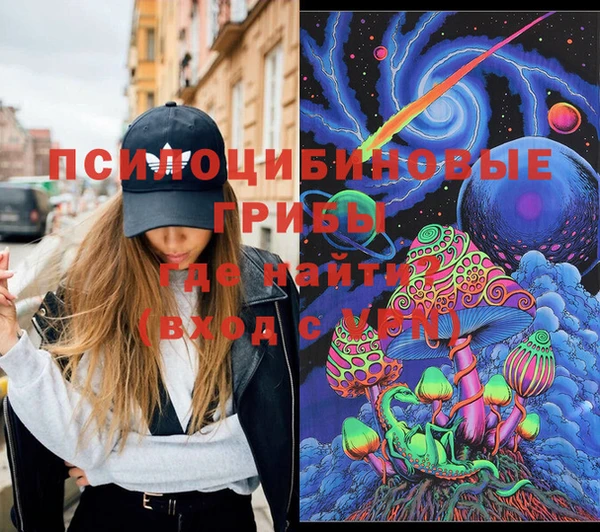 ECSTASY Богородск
