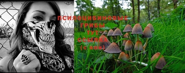 скорость Богородицк
