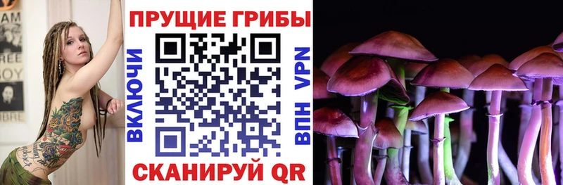 Галлюциногенные грибы MAGIC MUSHROOMS  купить  сайты  Кимры 